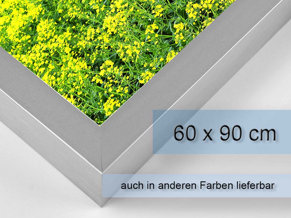 Seitenansicht eines picturelight classic Leuchtrahmens mit Mustermotiv